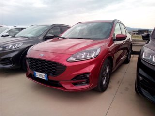 FORD Kuga 2.0 ecoblue ST-Line Design 2wd 120cv auto