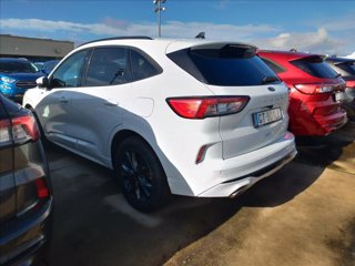 FORD Kuga 2.5 full hybrid ST-Line 2wd 190cv cvt