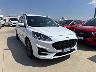 FORD Kuga 2.0 ecoblue mhev ST-Line X 2wd 150cv
