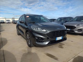 FORD Kuga 1.5 ecoblue ST-Line X 2wd 120cv
