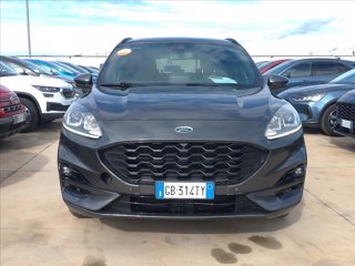 FORD Kuga 1.5 ecoblue ST-Line X 2wd 120cv