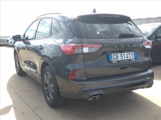 FORD Kuga 1.5 ecoblue ST-Line X 2wd 120cv