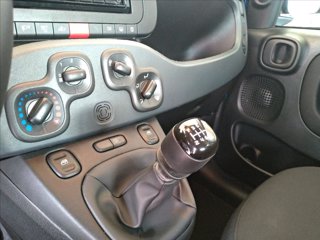 FIAT Panda 1.0 firefly hybrid s&s 70cv