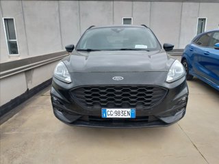FORD Kuga 1.5 ecoblue ST-Line X 2wd 120cv