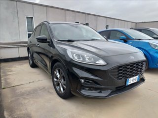 FORD Kuga 1.5 ecoblue ST-Line X 2wd 120cv