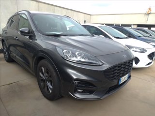 FORD Kuga 2.0 ecoblue ST-Line 2wd 120cv auto