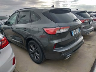FORD Kuga 2.0 ecoblue ST-Line 2wd 120cv auto