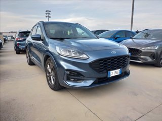 FORD Kuga 1.5 ecoblue ST-Line Design 2wd 120cv auto