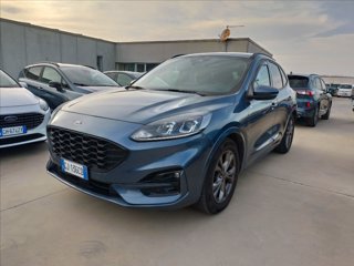 FORD Kuga 1.5 ecoblue ST-Line Design 2wd 120cv auto