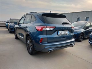 FORD Kuga 1.5 ecoblue ST-Line Design 2wd 120cv auto