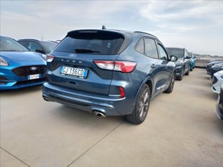 FORD Kuga 1.5 ecoblue ST-Line Design 2wd 120cv auto