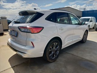 FORD Kuga 1.5 ecoblue ST-Line 2wd 120cv