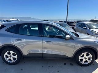 FORD Kuga 1.5 ecoblue Connect 2wd 120cv auto