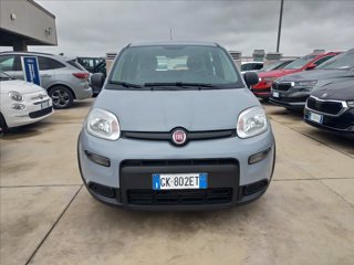 FIAT Panda 1.0 firefly hybrid s&s 70cv 5p.ti