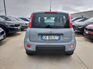 FIAT Panda 1.0 firefly hybrid s&s 70cv 5p.ti