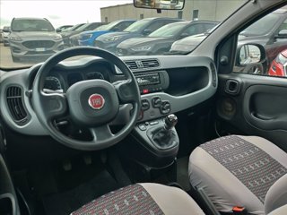 FIAT Panda 1.0 firefly hybrid s&s 70cv 5p.ti