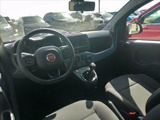 FIAT Panda 1.0 firefly hybrid Cross s&s 70cv