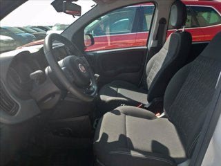 FIAT Panda 1.0 firefly hybrid Cross s&s 70cv