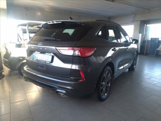 FORD Kuga 1.5 ecoboost ST-Line 2wd 150cv