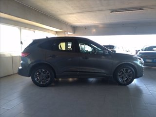 FORD Kuga 1.5 ecoboost ST-Line 2wd 150cv