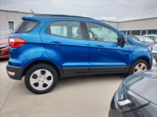 FORD EcoSport 1.0 ecoboost Business 100cv my19