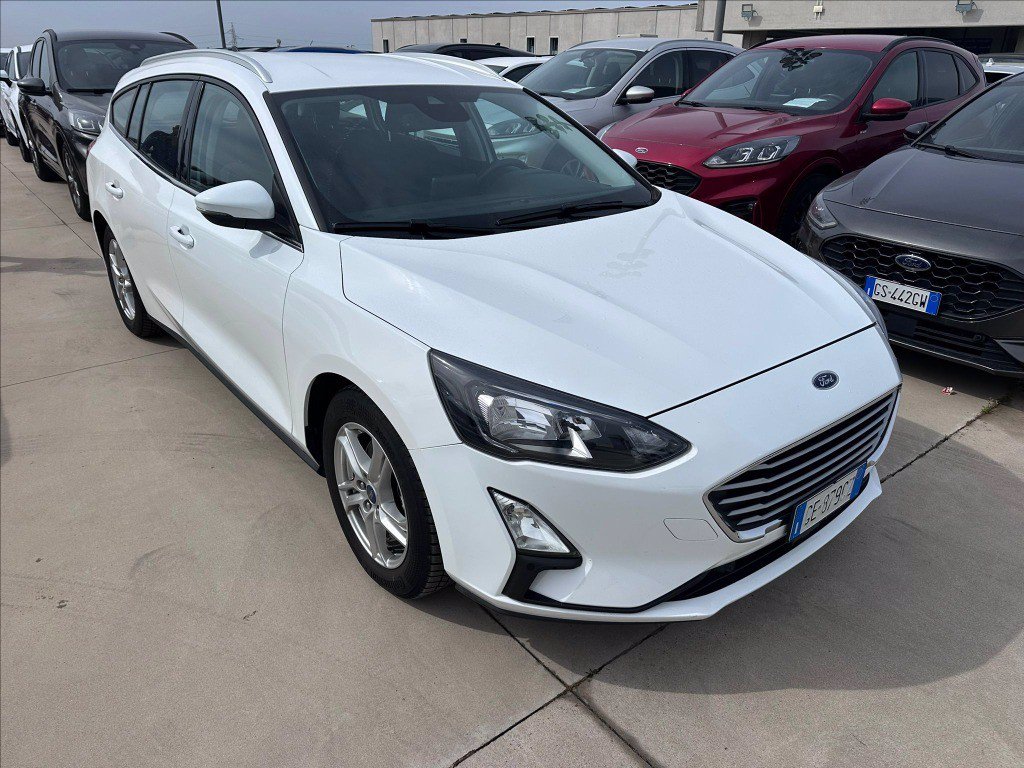 FORD Focus SW 1.5 ecoblue Business 120cv auto