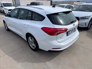 FORD Focus SW 1.5 ecoblue Business 120cv auto