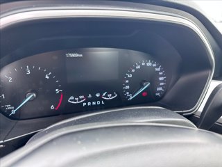 FORD Focus SW 1.5 ecoblue Business 120cv auto
