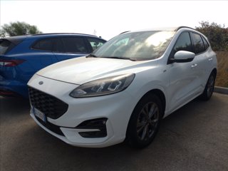 FORD Kuga 1.5 ecoblue ST-Line 2wd 120cv