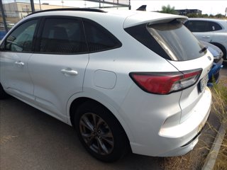 FORD Kuga 1.5 ecoblue ST-Line 2wd 120cv