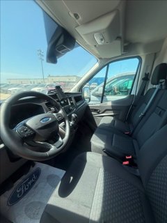 FORD Transit 350 fwd 2.0 ecoblue 130cv trend L2H2