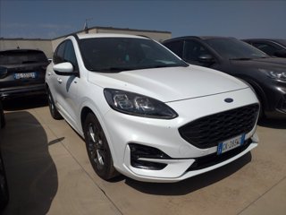 FORD Kuga 2.0 ecoblue ST-Line 2wd 120cv auto