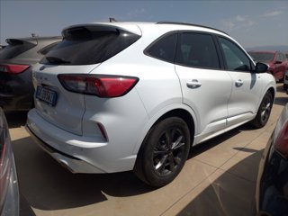 FORD Kuga 2.0 ecoblue ST-Line 2wd 120cv auto