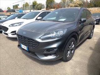 FORD Kuga 1.5 ecoblue ST-Line 2wd 120cv