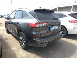 FORD Kuga 1.5 ecoblue ST-Line 2wd 120cv