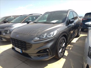 FORD Kuga 1.5 ecoblue ST-Line X 2wd 120cv