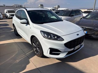 FORD Kuga 1.5 ecoblue ST-Line X 2wd 120cv auto