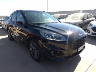 FORD Kuga 1.5 ecoblue ST-Line 2wd 120cv