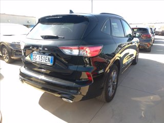 FORD Kuga 1.5 ecoblue ST-Line 2wd 120cv
