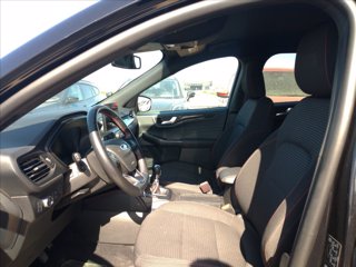 FORD Kuga 1.5 ecoblue ST-Line 2wd 120cv